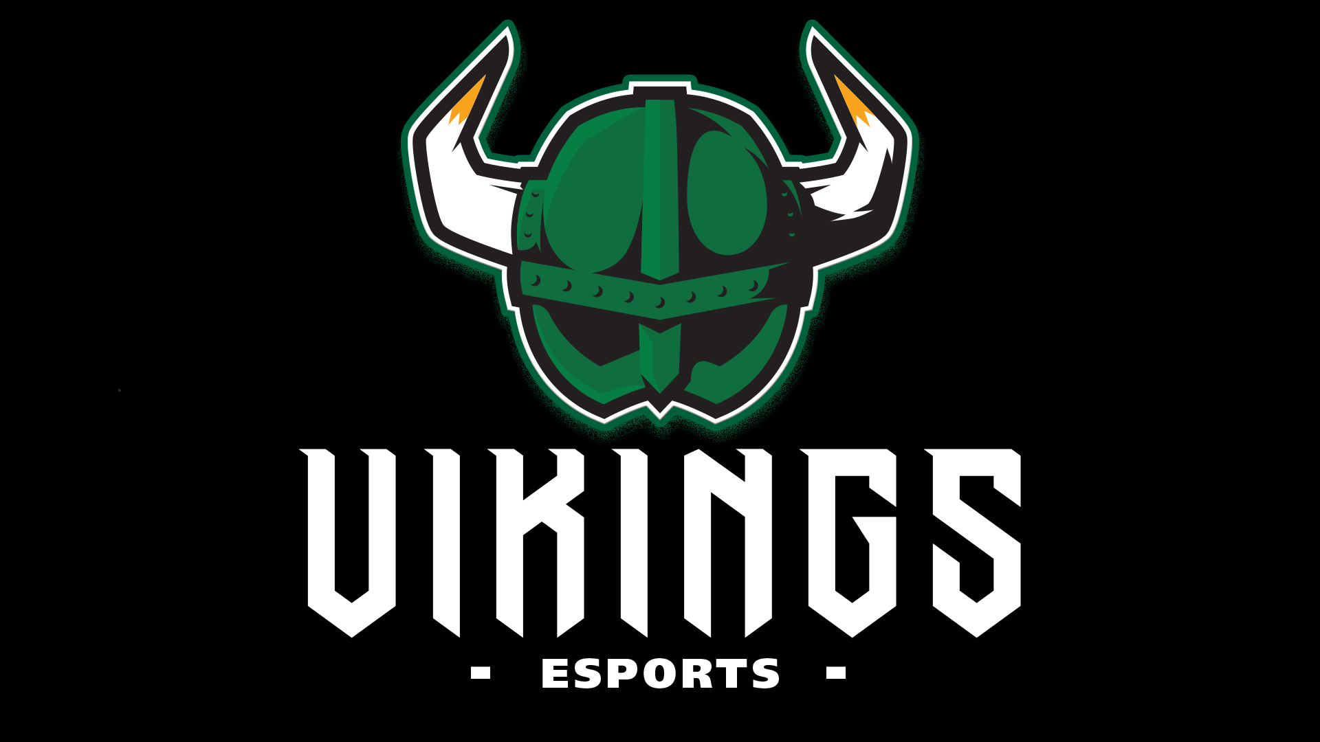 Vikings Esports Interest Questionnaire